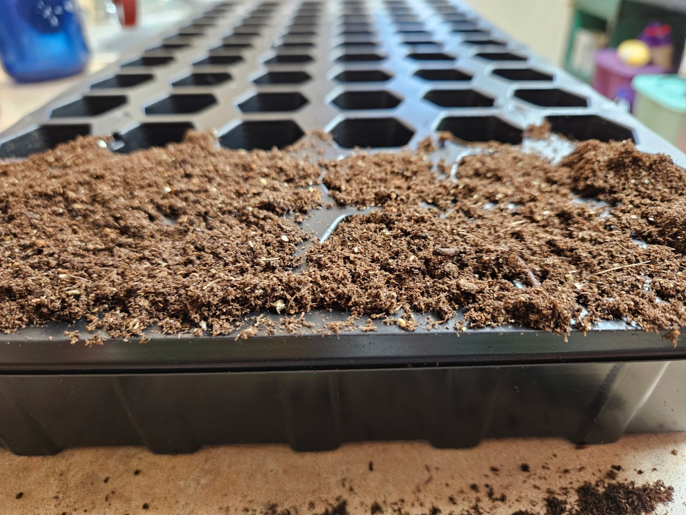 Seed Starting