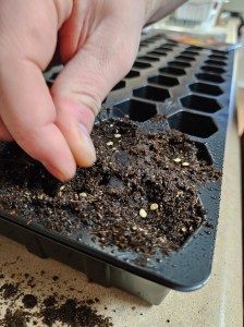 Seed starting, gardening