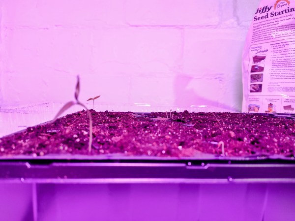 Garden Seeds, Seed Starting