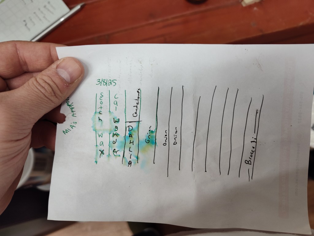 Seed Starting, Garden Organization