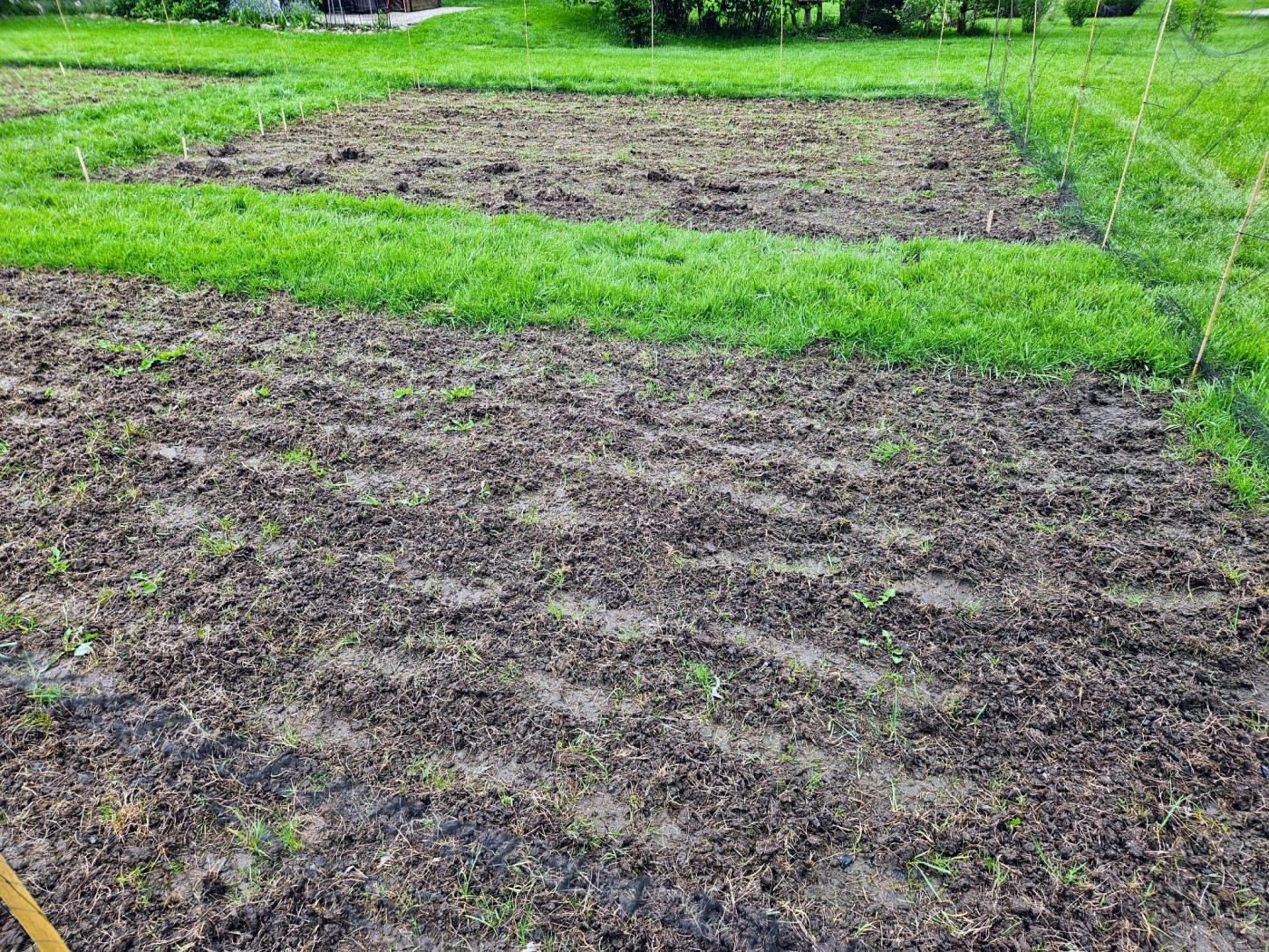 Gardening, garden beds