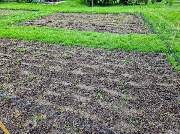 Gardening, garden beds