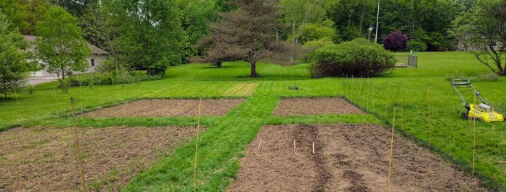 Fence, Garden Beds