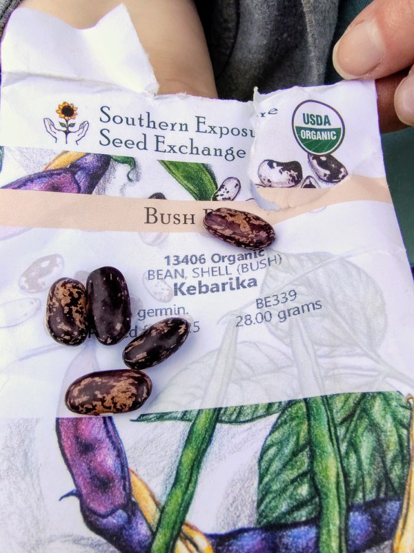 Kebarika, Beans, Garden Seeds