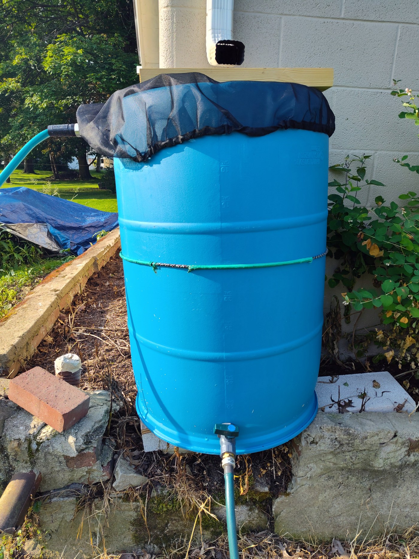 Rain barrel