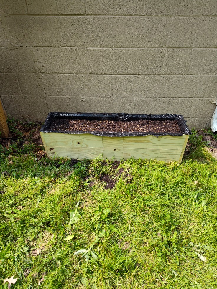 Planter Box, Gardening, Beans