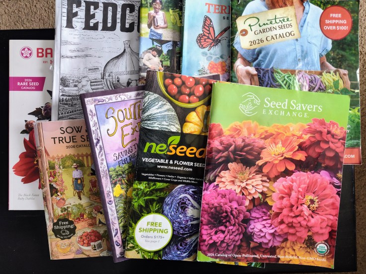 Seed Catalogs