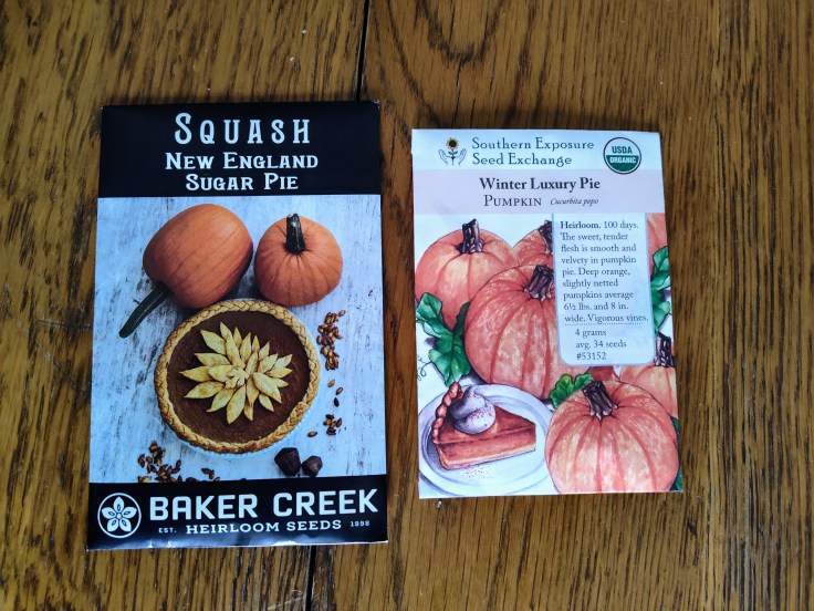 Pumpkin seeds, garden seeds