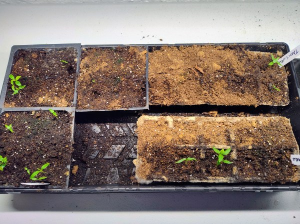Pepper Seeds, Seed Starting Trays
