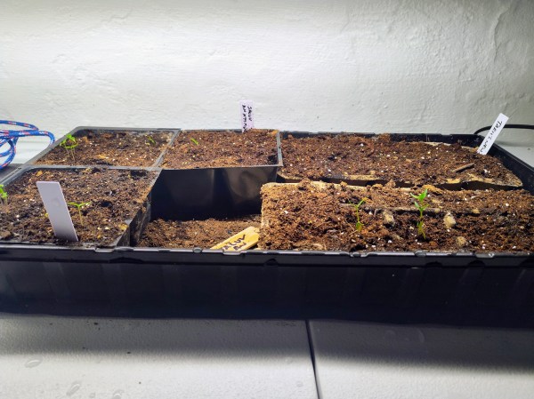 Seed Starting, Pepper Seeds