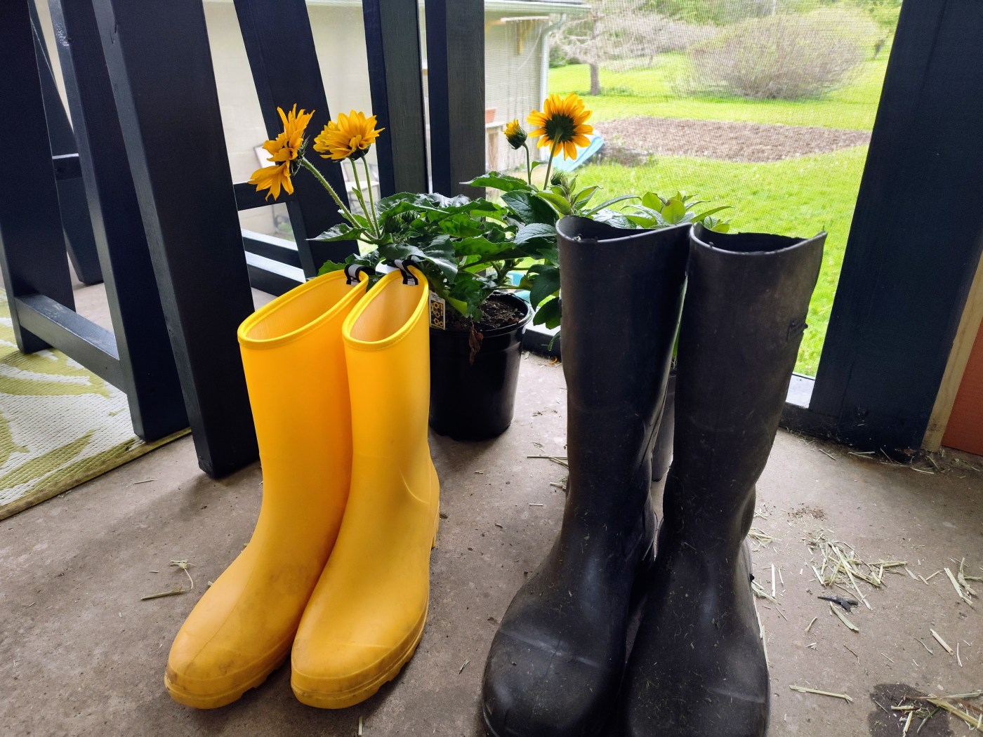 Rain Boots