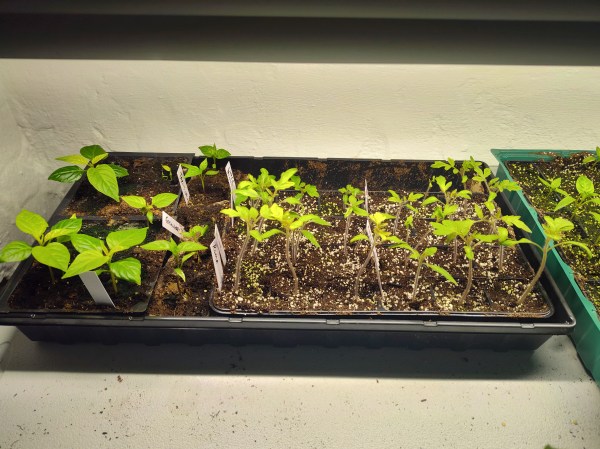 tomatoes, peppers