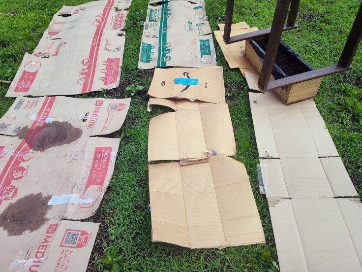 Cardboard