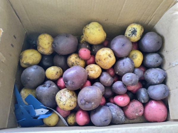 Potatoes